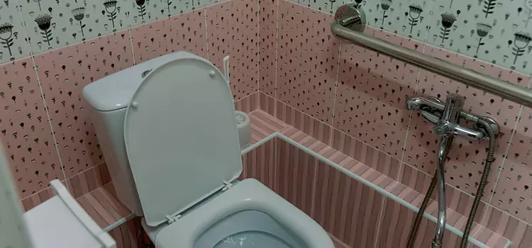 Meeting Diverse Needs With Accessible Restroom Solutions in Lemoore, CA