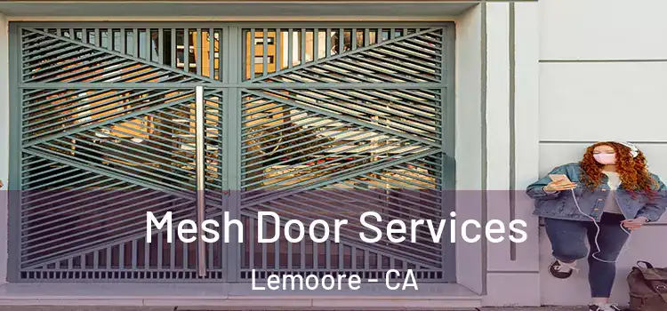 Mesh Door Services Lemoore - CA